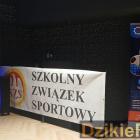 zdjęcie nr 229