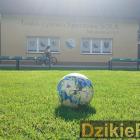 Fotka nr 5 z 184