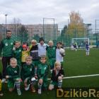 Fotka nr 5 z 92