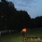 zdjęcie nr 15