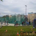 zdjęcie nr 81