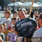 zdjęcie nr 13