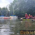 zdjęcie nr 259
