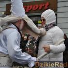 zdjęcie nr 42