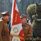 zdjęcie nr 9