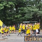zdjęcie nr 31