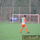 Fotka nr 5 z 62