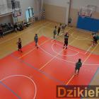 Fotka nr 5 z 14