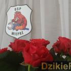 zdjęcie nr 56