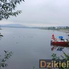 zdjęcie nr 276