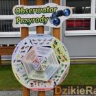 zdjęcie nr 12