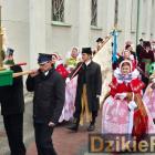 zdjęcie nr 7