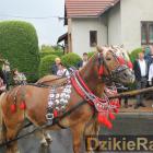 zdjęcie nr 247