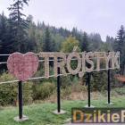 zdjęcie nr 138