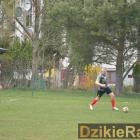 Fotka nr 2 z 40