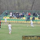 zdjęcie nr 31