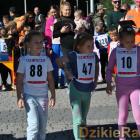 zdjęcie nr 47