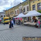 zdjęcie nr 14