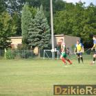 zdjęcie nr 89