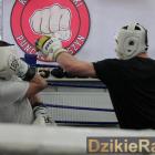 Fotka nr 2 z 15