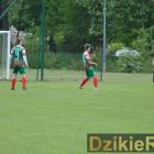 zdjęcie nr 73