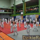 zdjęcie nr 47