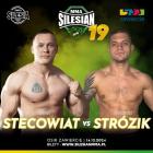Fot. Silesianmma 