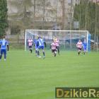 zdjęcie nr 14