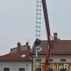 Fotka nr 4 z 148