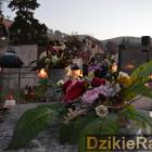 zdjęcie nr 52