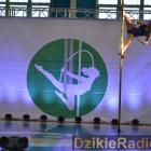 zdjęcie nr 180