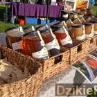 zdjęcie nr 55