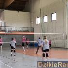 zdjęcie nr 24