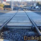 Fot: DzikieRadio®
