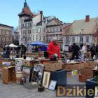 zdjęcie nr 42
