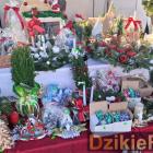 zdjęcie nr 112