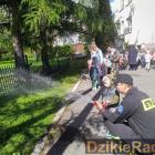 zdjęcie nr 31