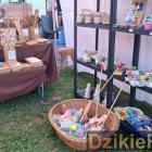 zdjęcie nr 46