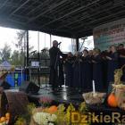 zdjęcie nr 300