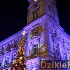 zdjęcie nr 76