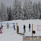 zdjęcie nr 35