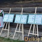 zdjęcie nr 13