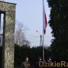 zdjęcie nr 77