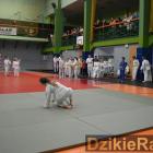 zdjęcie nr 9