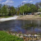 Fotka nr 5 z 6