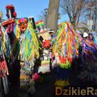 zdjęcie nr 38