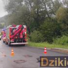 Fotka nr 1 z 2