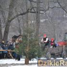 zdjęcie nr 87