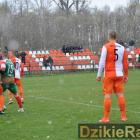 zdjęcie nr 19
