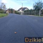 Fotka nr 3 z 13